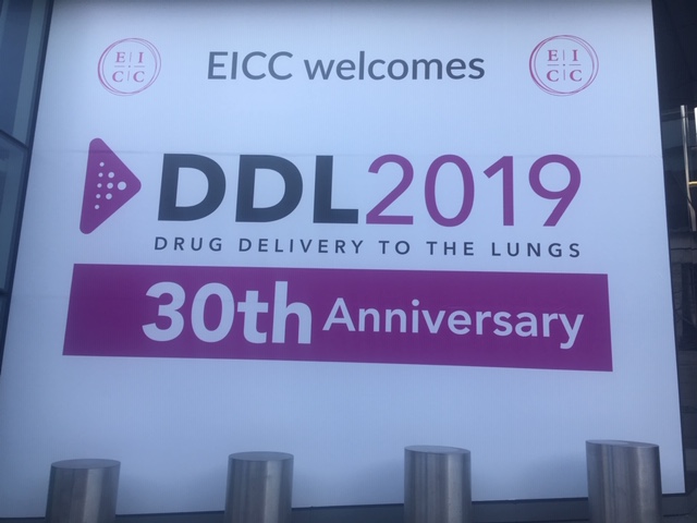 DDL 2019