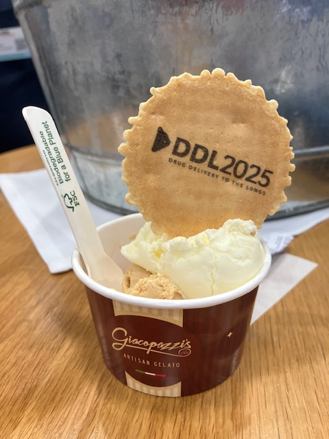 DDL 2025 ice cream