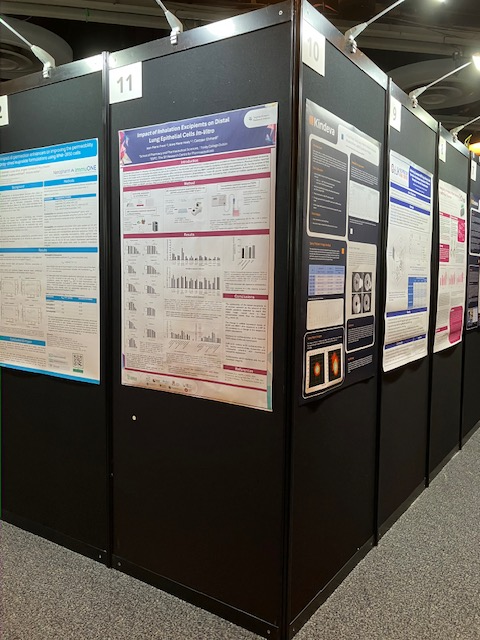 DDL 2026 poster exhibition